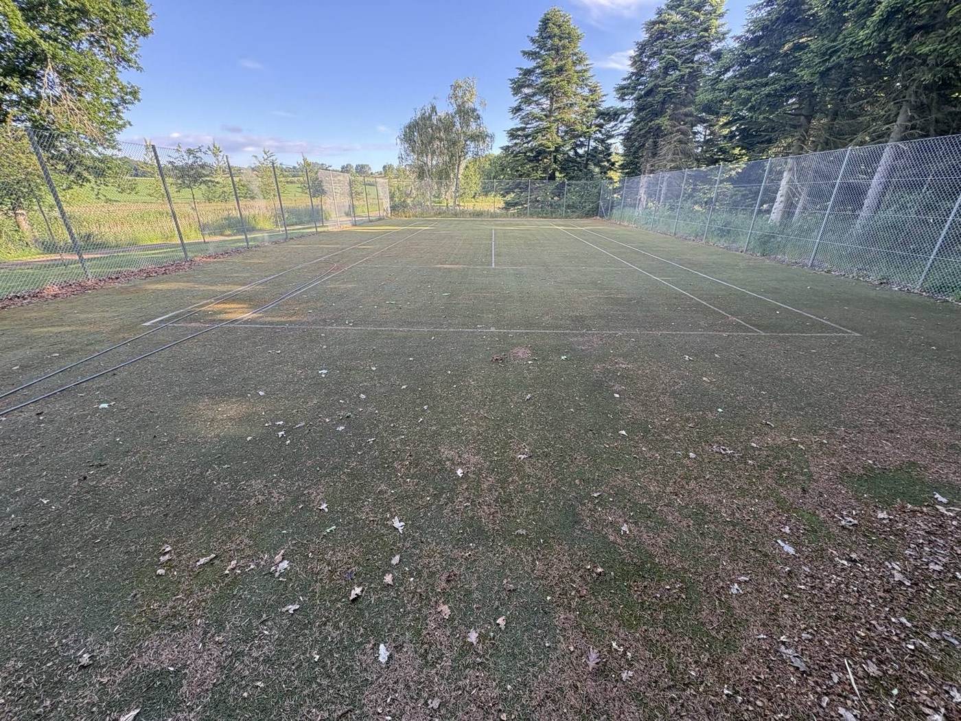 Tennisbane før rensning — brun og mosbegroet